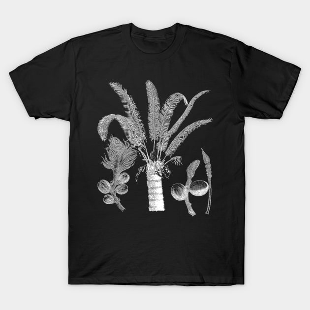 Botanical Palm Plant T-Shirt by encycloart